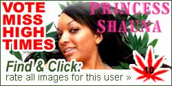 CLICK HERE Vote Miss Hightimes